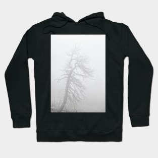 Ghost Tree Hoodie